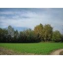 Gas Nogaredo di Prato